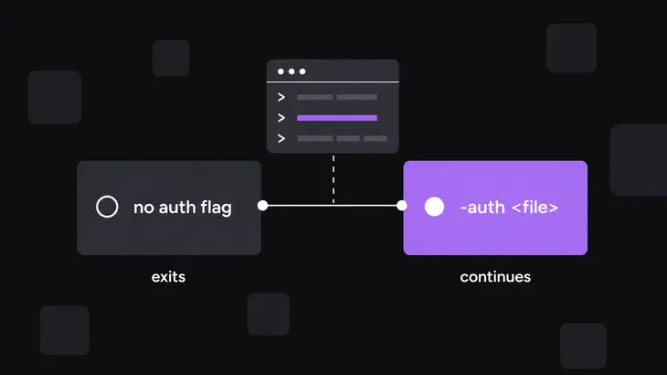 Two-column labelled diagram comparing the x11vnc command with and without the -auth flag, showing the process exiting on the left and continuing on the right.